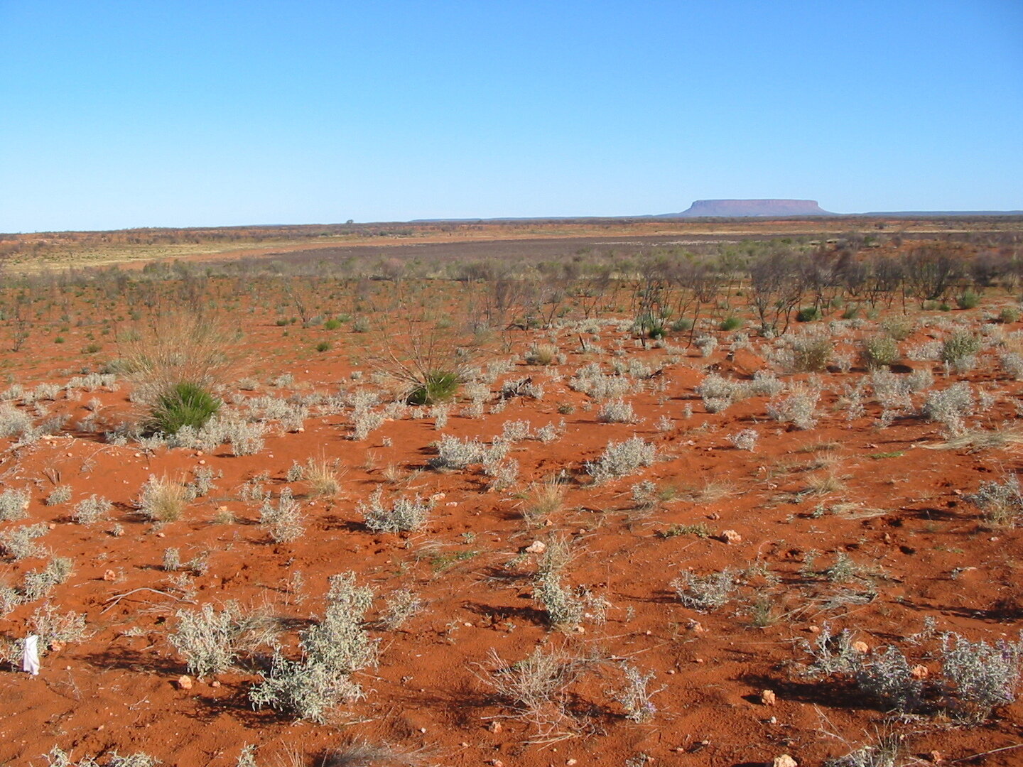 Red Centre desert landscape