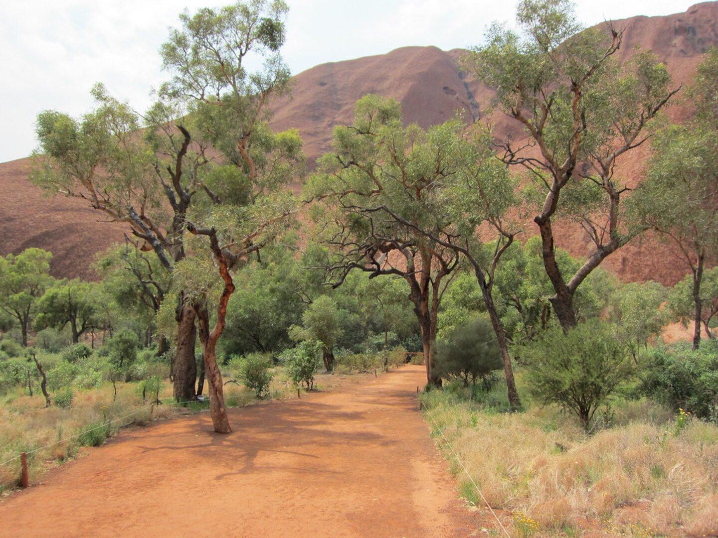 Uluru: Guided Walking Tour at Sunrise with Light Breakfast