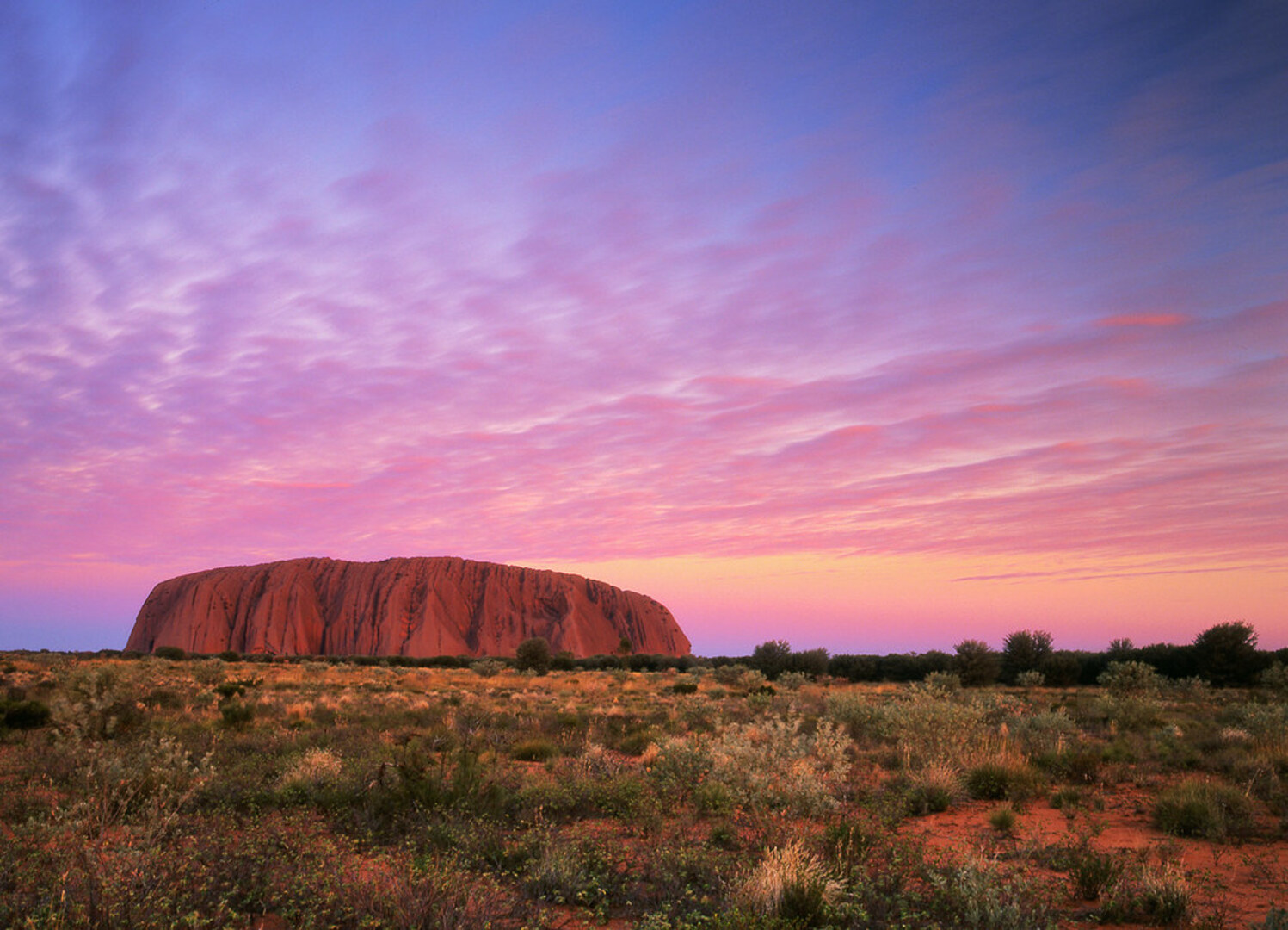Uluru: Guided Trek of Uluru's Base in a Small Group